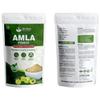 Autpatik Amla Powder 200g | Indian Gooseberry Fruit Powder Rich in Natural Plant-Based Vitamin Sources for Culinary and Household Herbal Applications view 3