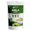 Autpatik Natural Amla Powder 100g || Indian Herbal Fruit Powder with Traditional Use in Recipes, DIY Applications and Daily Nutritional Enrichment view 1