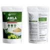 Autpatik Natural Amla Powder 100g || Indian Herbal Fruit Powder with Traditional Use in Recipes, DIY Applications and Daily Nutritional Enrichment view 3