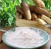 3V PRODUCTS Arrowroot Powder 150 Grms | Ararot | Arrow Root for Gravy, Puddings, Soups, Bread view 2