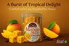 Mango Masti  Exotic Chocolate with Dry Mango & Raisin | SA FOODS | 200gm jar view 2