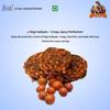 Regi Vadiyalu | Traditional Andhra Sun-Dried Snack | Homemade Crunchy Vadiyalu | Natural & Preservative-Free | Elantha Palam Vadiyalu | Jujube Vada |    | 200g Pack  Tastes of Godavari view 2