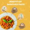 Barnyard Millet Pasta 200g | Whole Wheat & Barnyard Flour | No Maida | High Fiber | With Masala Pack Included | Guilt-Free Snack for Kids, Adults, Fitness & Diet-Friendly Meals | Quick & Tasty Millet Pasta (Pack of 1) view 4