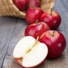 Gallardo Apple Milkshake Premix | Instant Apple Drink Mix | Thick & Creamy Milkshake Powder | 500g Pack of 1 | Refreshing view 4