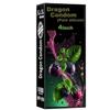 Classy Imported Drag-on Silicone Condom for Men four Inch Size Soft, Comfortable view 1