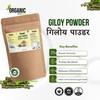 Organic Anand Giloy/Guduchi/Gulvel Stem Powder - 380gm | Amruthavalli podi | Tinospora cordifolia | No Added Preservative view 4