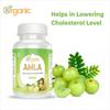 360 DEGREEORGANIC Amla Tablets 500mg view 2