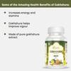 360 DEGREEORGANIC Gokshura (Tribulus terrestris) Tablets Herbal Supplement 500mg view 3