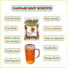 3V PRODUCTS Nannari Roots 100g - Sugandhi Veru Roots - Indian Sarsaparilla view 3