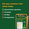 Prolicious Pani Puri High Protein Thins | NO Palm Oil | Crispy & Nutritious Thin | Plant based (50g Pack of 1) view 2