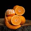 Gallardo Orange Milkshake Premix Powder | Instant Thick & Smooth Beverage Mix | Refreshing Orange Flavour | 50g (Pack of 1) view 4