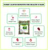 3V PRODUCTS Dried Curry Leaves | Karuveppillai 150 Gram | Kadi Patta | 100% Natural for Edible | Cooking | Make Hair Oil | Hair view 3