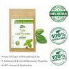 Bioleaf Botanicals Tulsi & Manjistha Powder  100% Pure Herbal Blend for Clear Skin, Detox  Natural Anti-Inflammatory, Antioxidant & Skin Rejuvenating (200g) view 4