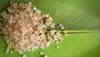 GROCERY JONES Natural Gond Katira | Almond Gum Badam Pisin, Tragacanth Gum | High Cooling Properties | 100% Natural Superfood | 100gm view 4