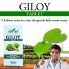 A SHIVYA Product- Giloy Tablets with 100% Pure Giloy Extract | Ayurvedic Immunity Booster | Protects against Infections | Improves Liver Function |100% Ayurvedic & Vegetarian (60 Tabs x 4), 240 Tabs view 2