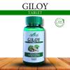 A SHIVYA Product- Giloy Tablets with 100% Pure Giloy Extract | Ayurvedic Immunity Booster | Protects against Infections | Improves Liver Function |100% Ayurvedic & Vegetarian (60 Tabs x 4), 240 Tabs view 3