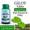 A SHIVYA Product- Giloy Tablets with 100% Pure Giloy Extract | Ayurvedic Immunity Booster | Protects against Infections | Improves Liver Function |100% Ayurvedic & Vegetarian (60 Tabs x 4), 240 Tabs view 4