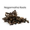 Suparna Trikha Nagarmotha Powder | Ayurvedic Herbal Root Powder for Hair Growth, Dandruff Control, Acne & Skin Hydration | Natural Astringent for Oily Skin | Anti-Aging & Detox | Pure & Natural 100g view 3