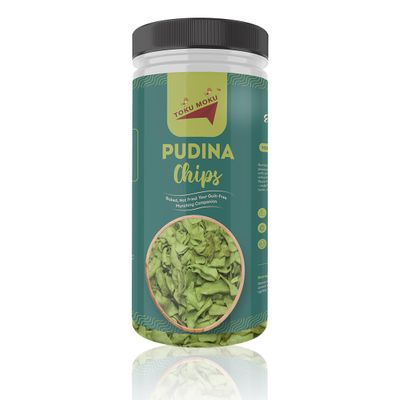 Toku Moku Pudina Chips Tasty & High Protein Snacks Chips | 30% Of Protein Needs | No Palm Oil, Cholesterol or Trans Fats | No Junk & Chemicals (Single, Pudina Chips)