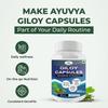 Fitness Prime Giloy 800 mg Capsules for Stress & Anxiety | Advanced Formula for Overall Wellness (60 Capsules) view 4