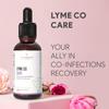Autoimmunity Care: LymeCo Care - Drop for Tick Bites & Lyme Infections, Natural Immune Support with Japanese Knotweed, Cat's Claw, Andrographis, Herbal Supplement for Tick-Borne Health | 30ml view 2