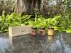 Potion 1st /  1st Fiber Box 1 (Strawberry, Mango, Jamun) view 3
