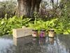 Potion 1st /  1st Fiber Box 3 (Guava, Dragon Fruit, Red Apple) view 3