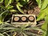 Potion 1st /  1st Fiber Box 4 (Pineapple, Chikoo, Green Apple) view 4