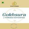 A D Food & Herbs Gokhru/Gokshura/Tribulus Terrestris Dried Pure and Natural Combo Packs (20 Gms x pack of 2) view 2