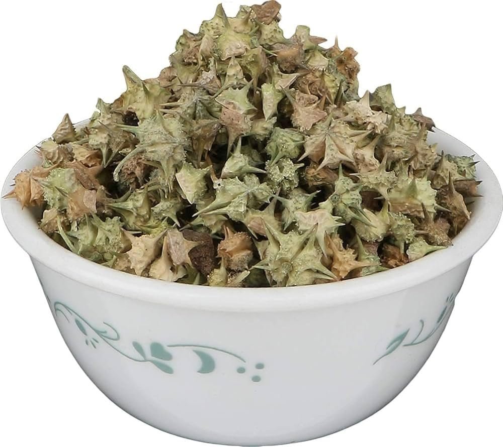 A D Food & Herbs Gokhru/Gokshura/Tribulus Terrestris Dried Pure and Natural Combo Packs (100 Gms x pack of 2)