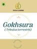 A D Food & Herbs Gokhru/Gokshura/Tribulus Terrestris Dried Pure and Natural Combo Packs (100 Gms x pack of 2) view 4