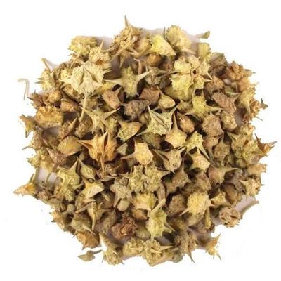 A D Food & Herbs Gokhru/Gokshura/Tribulus Terrestris Dried Pure and Natural Combo Packs (50 Gms x pack of 2)