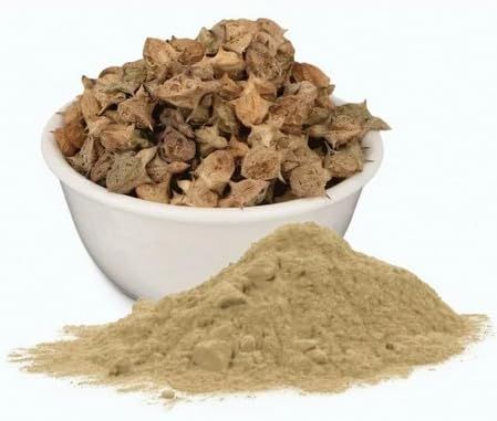 A D Food & Herbs Gokhru Powder/Gokshura/Tribulus Terrestris Powder Pure and Natural (20 Gms)