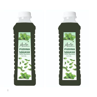 Mountain Bawarchi Mint Squash | Natural Healthy Juice Gift Pack | Natural Sharbat | Refreshing Juice | Ready To Serve | No Artificial Flavors 750mlx2 (Set of 2)