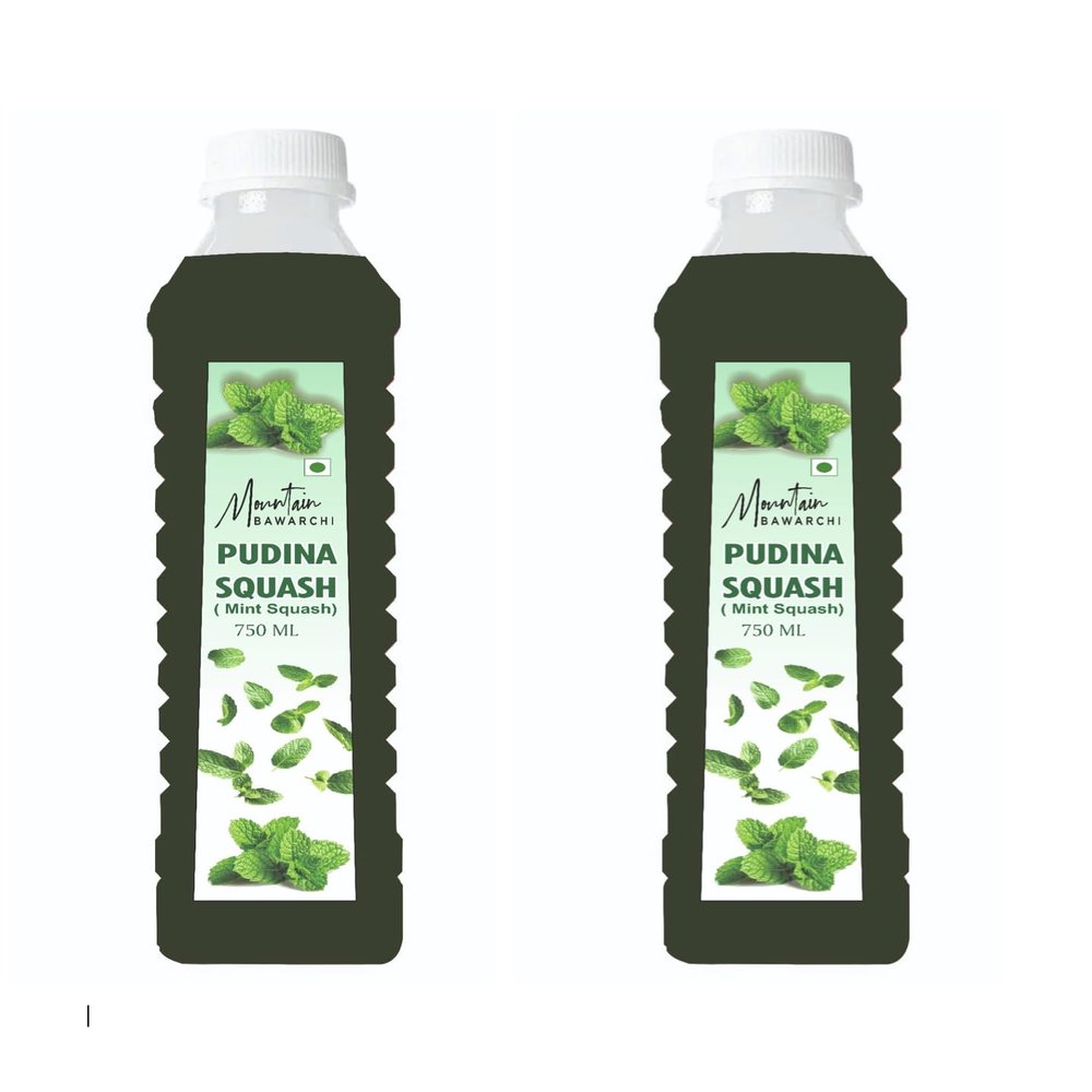 Mountain Bawarchi Mint Squash | Natural Healthy Juice Gift Pack | Natural Sharbat | Refreshing Juice | Ready To Serve | No Artificial Flavors 750mlx2 (Set of 2)
