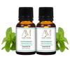 Aadi Mool Peppermint Essential Oil 15ml (Pack of 2) | For Headache Relief, Cooling & Aromatherapy view 1