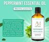 Aadi Mool Peppermint Essential Oil 15ml (Pack of 2) | For Headache Relief, Cooling & Aromatherapy view 2