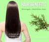 Aadi Mool Rosemary Essential Oil 15ml (Pack of 2) | For Hair Growth, Scalp Care & Aromatherapy view 4