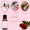 Aadi Mool Rose and Lavender Essential Oil Pack of 2 Natural Aromatherapy Oil for Relaxation, Hair & Skin Care, Diffuser Use (10ml Each) view 3