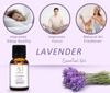 Aadi Mool Sandalwood and Lavender Essential Oil for Aromatherapy, Diffuser, Massage, Skin and Hair Care Pack Of 2-10ML Each view 4