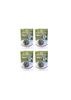 DOCTOR RICE - DIABETIC RICE DOCTORS MALT MILLETS HEALTH MIX POWDER - 250grms (PACK OF 4) view 1