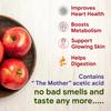 Amrit Mantra| Apple Cider Vinegar Tablets with L-Carnitine, 750mg ACV, Lime & Lemon Flavour, 15 Effervescent Tablets (1, Lemon) view 3