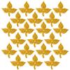 21 Pcs Gold Belpatra Leaves for Puja Shivji view 1