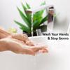 Hommies Liquid Handwash, Refill Can | Fights Germs | Ph-Balanced Formula | No Added Triclosan & Parabens | Rich Lathering Formula With Anti-Bacterial Properties| Soft on Hands - 5 Litre (Orange) view 4