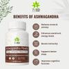 7VED Herbal Combo Pack  Gokhru, Akarkara, Ashwagandha, Kaunch Beej, Safed Musli & Shatavari Powder  6 x 100g Each | Ayurvedic Health & Wellness Pack | 100% Pure & Natural view 2