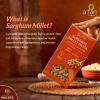 Arham Organic Sorghum Millet Pasta 180g | Healthy No Maida Pasta | High Fiber & Protein | Non-GMO, No Preservatives | Easy & Quick to Cook view 2