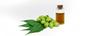 100% Pure Neem Oil For Skin And Hair | Veppa Ennai | Neem ka tel 100ml view 2