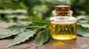 100% Pure Neem Oil For Skin And Hair | Veppa Ennai | Neem ka tel 100ml view 3
