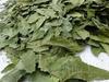 100Gm Sun Dried Natural Leaf Neem Tree Leaves 100% Pure & Chemical Free    Sookhi Patti view 3