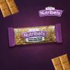 Mayur'sNutribels Peanut Crush Chikki 27 Pieces of 32g Each | Roasted Peanut Bits in Jaggery | Traditional Indian Crunchy Snack Chikki Bars view 2